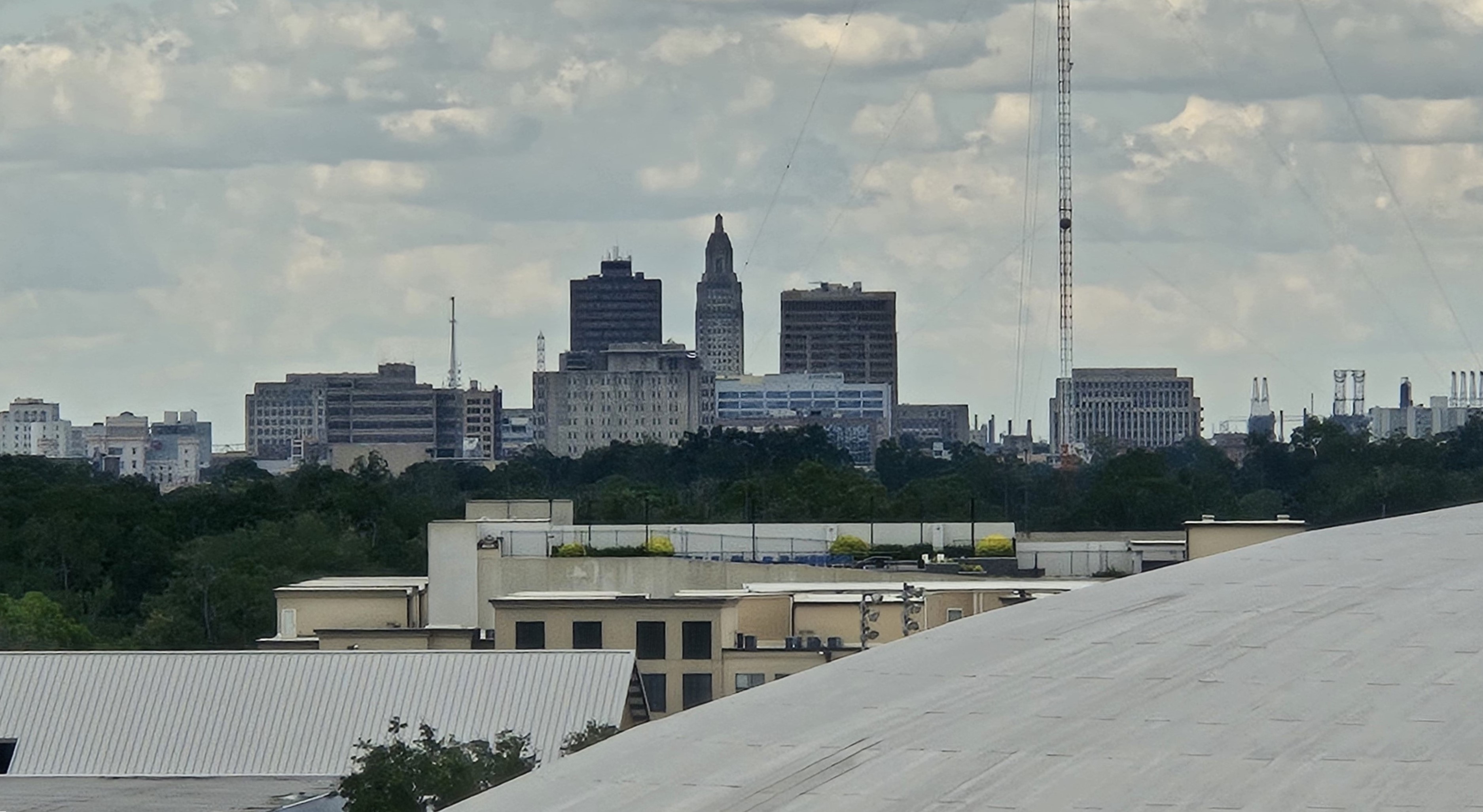 Vegetative Roof Coordination in Baton Rouge, LA