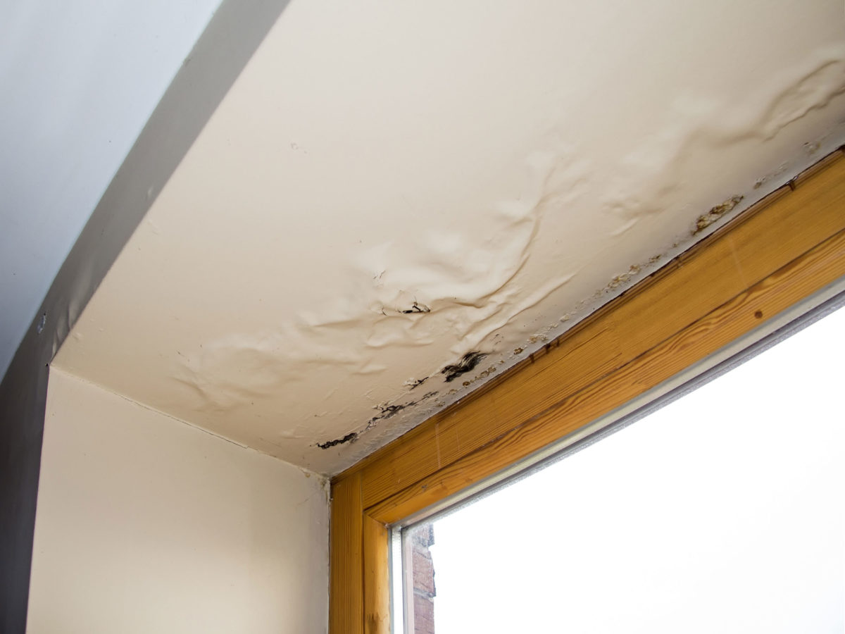 Humidity & Moisture Damage Roof Repair
